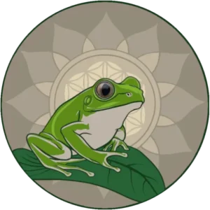 Kambo Spirit Hannover Logo